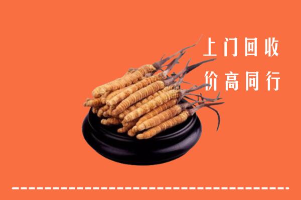 高价求购：南通回收散虫草