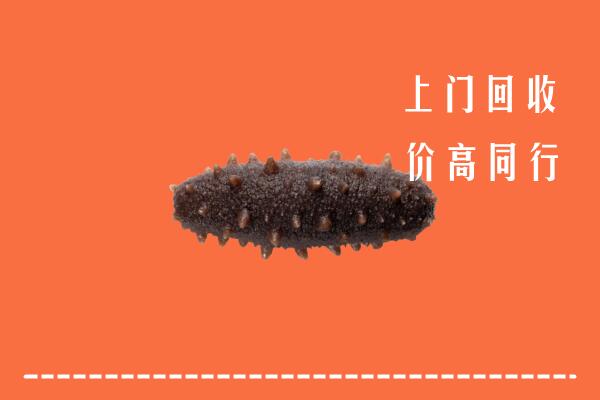 南通高价回收海参