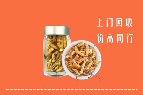 南通回收冬虫夏草